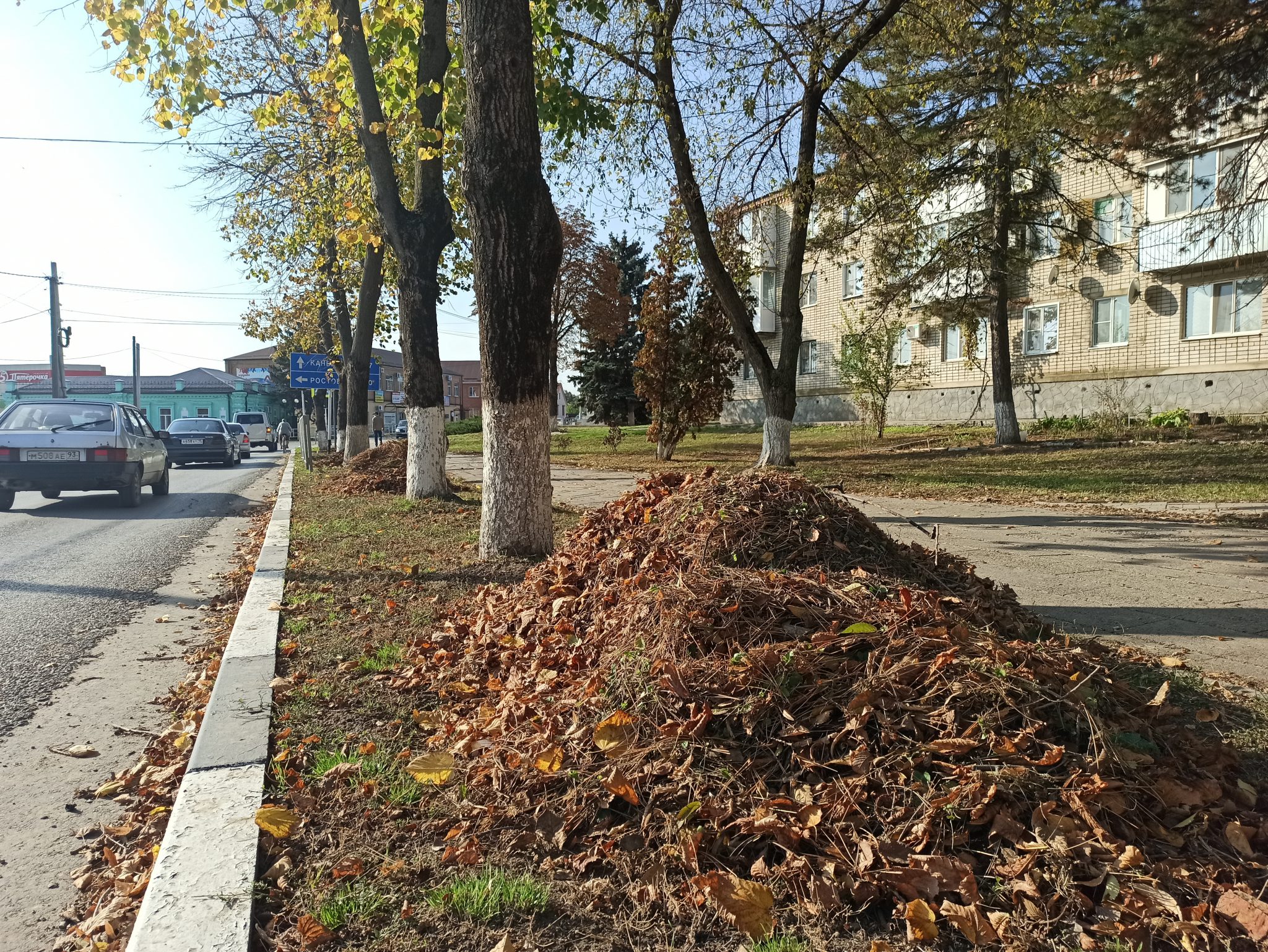 Погода станица ленинградская краснодарский край. Станица Ленинградская Краснодарский край. Меликьян Ленинградская станица. Улица Ленина станица Ленинградская.